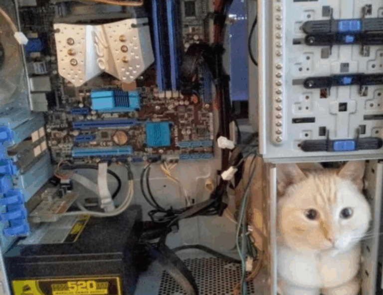 communication tips fparentips