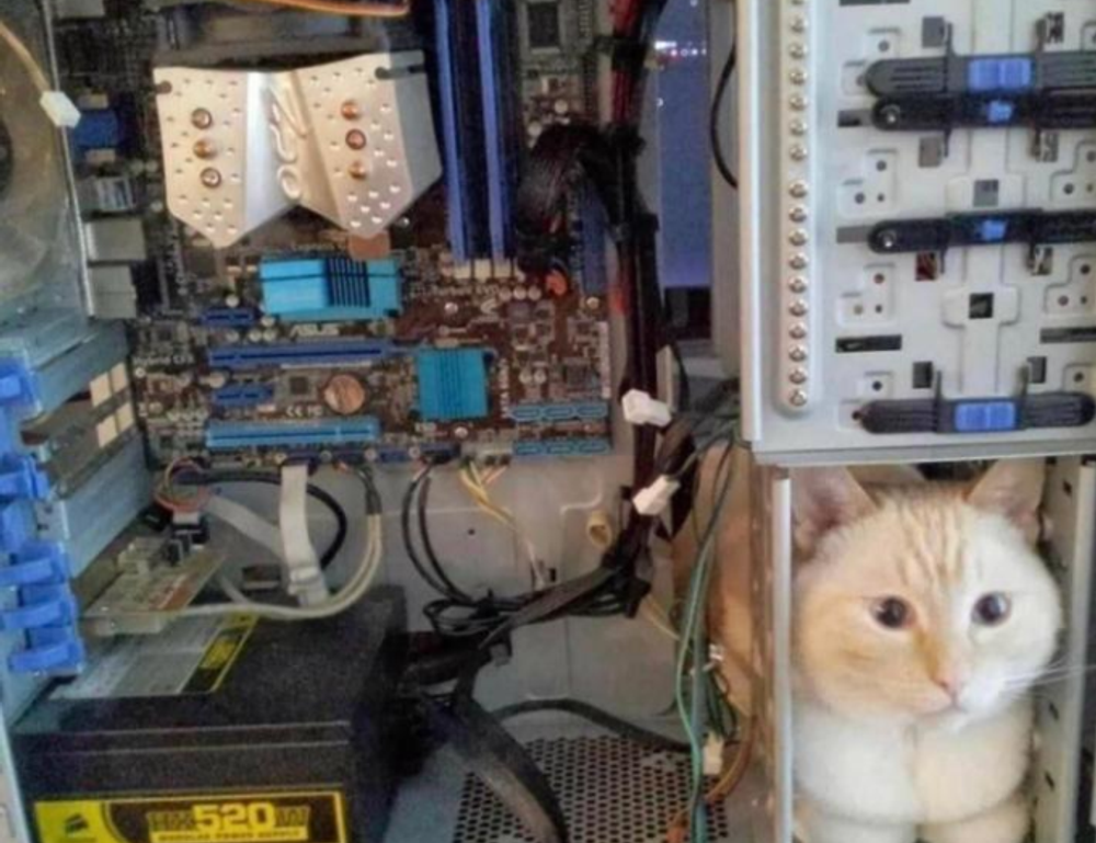 communication tips fparentips