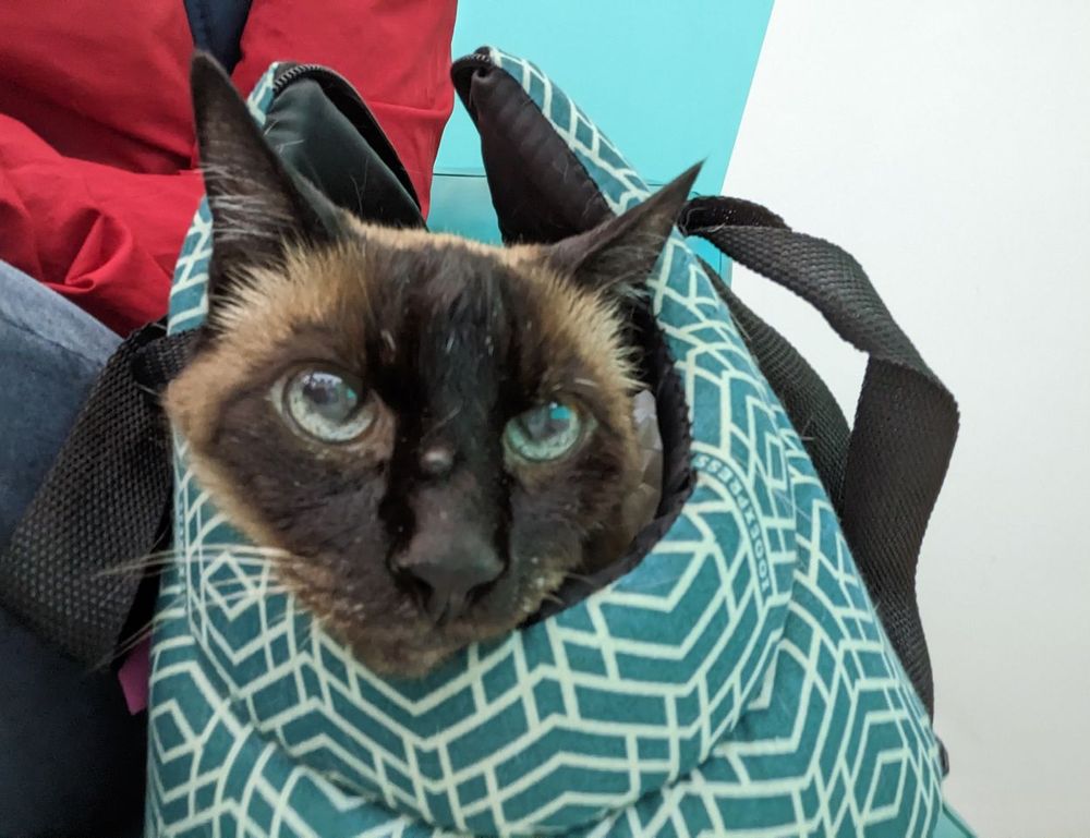 communivation tips fparentips