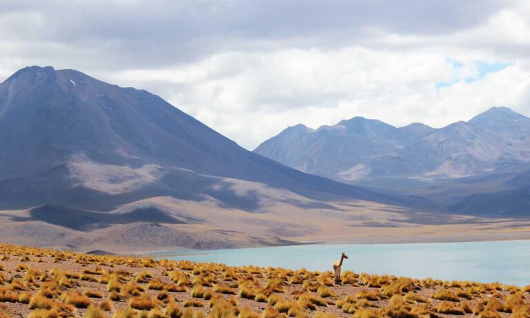 cyroket2585 online pc