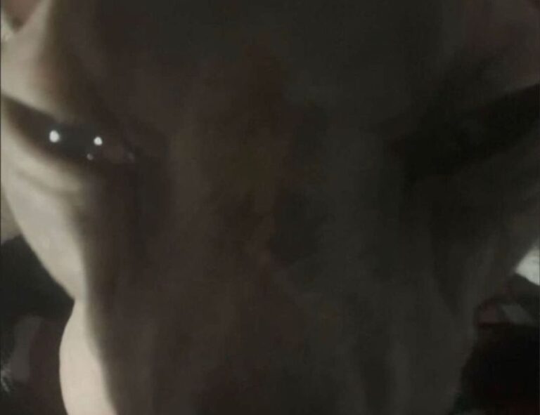 download ustudiobytes