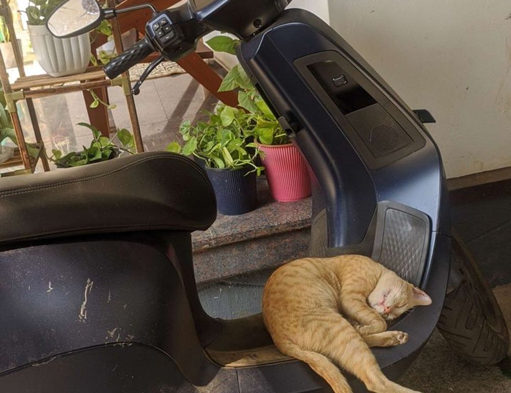 entrepreneurial tips fparentips