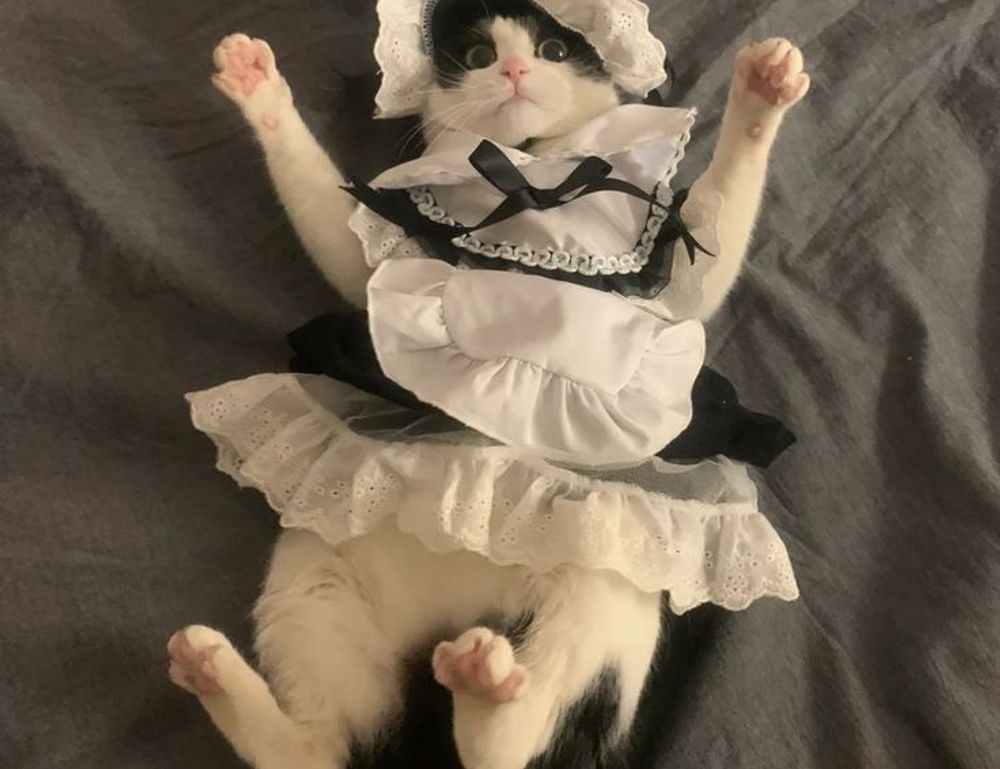 error susbluezilla new version