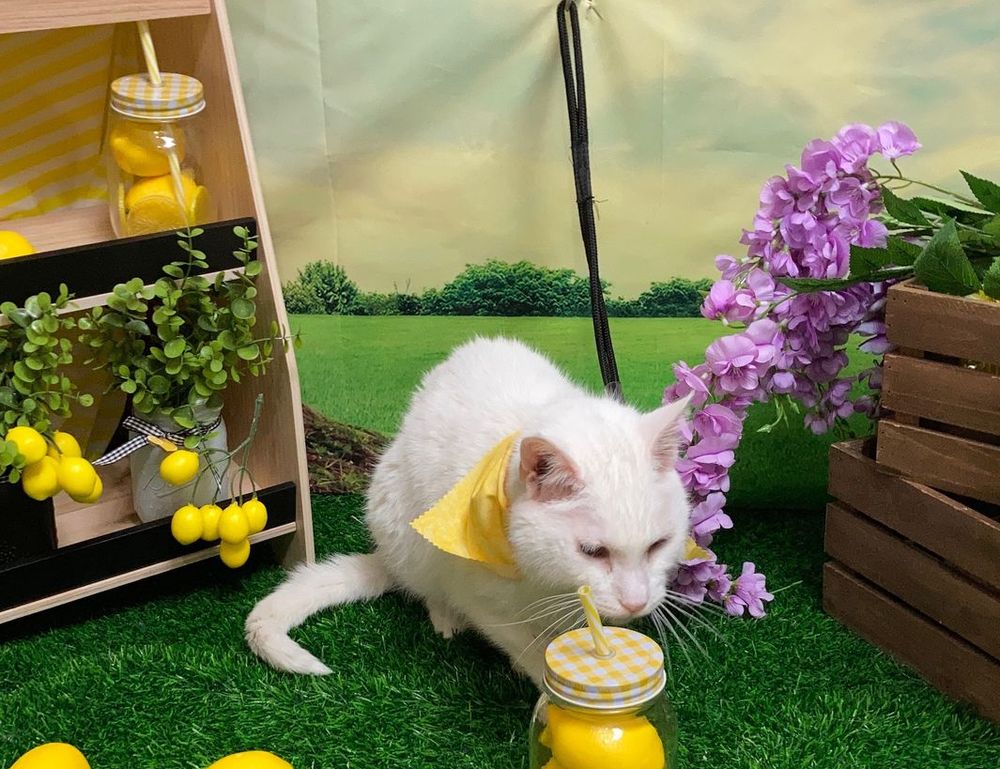 fix bug ralbel28.2.5