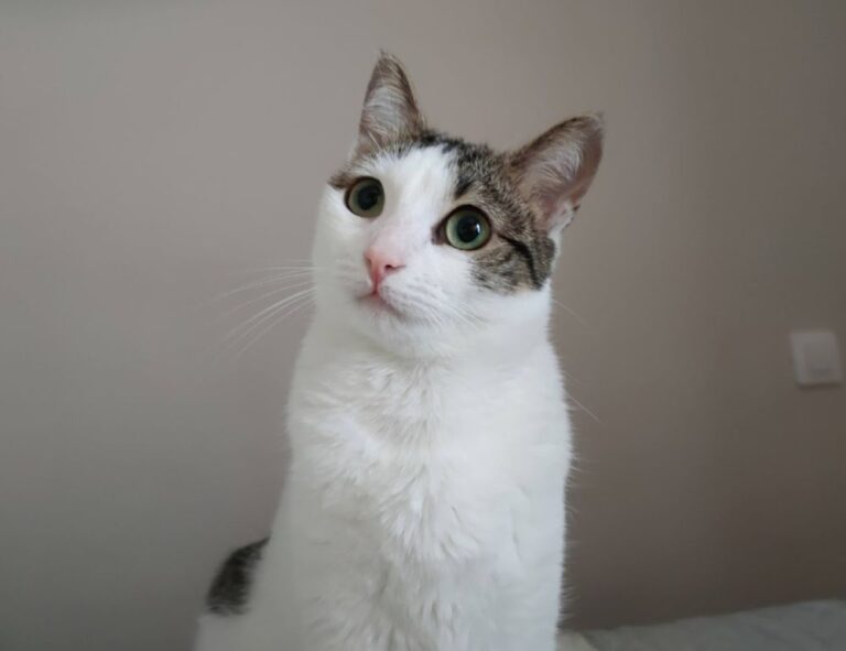 health tips fparentips