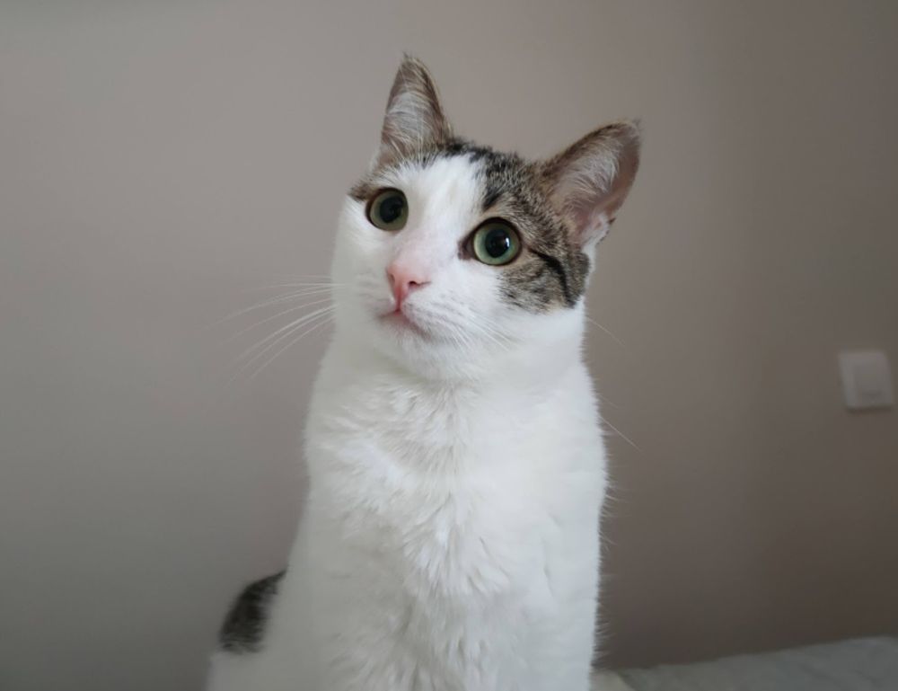 health tips fparentips