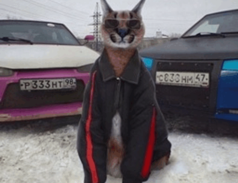 new software name 8tshare6a