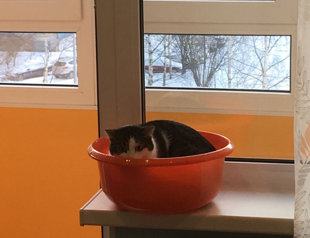 software ralbel28.2.5 issue