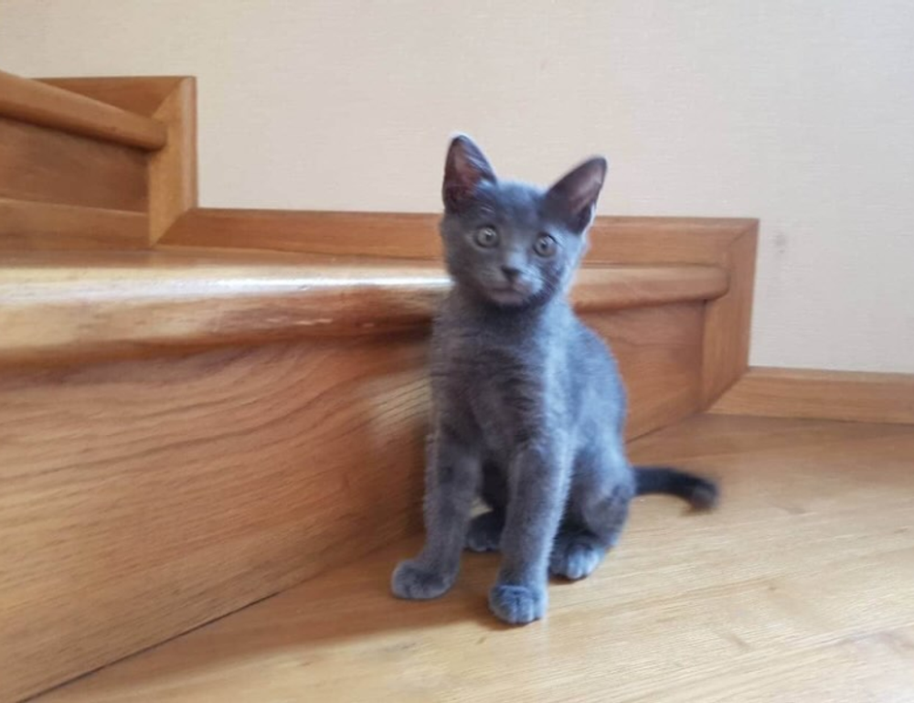 when was the game innerlifthunt released