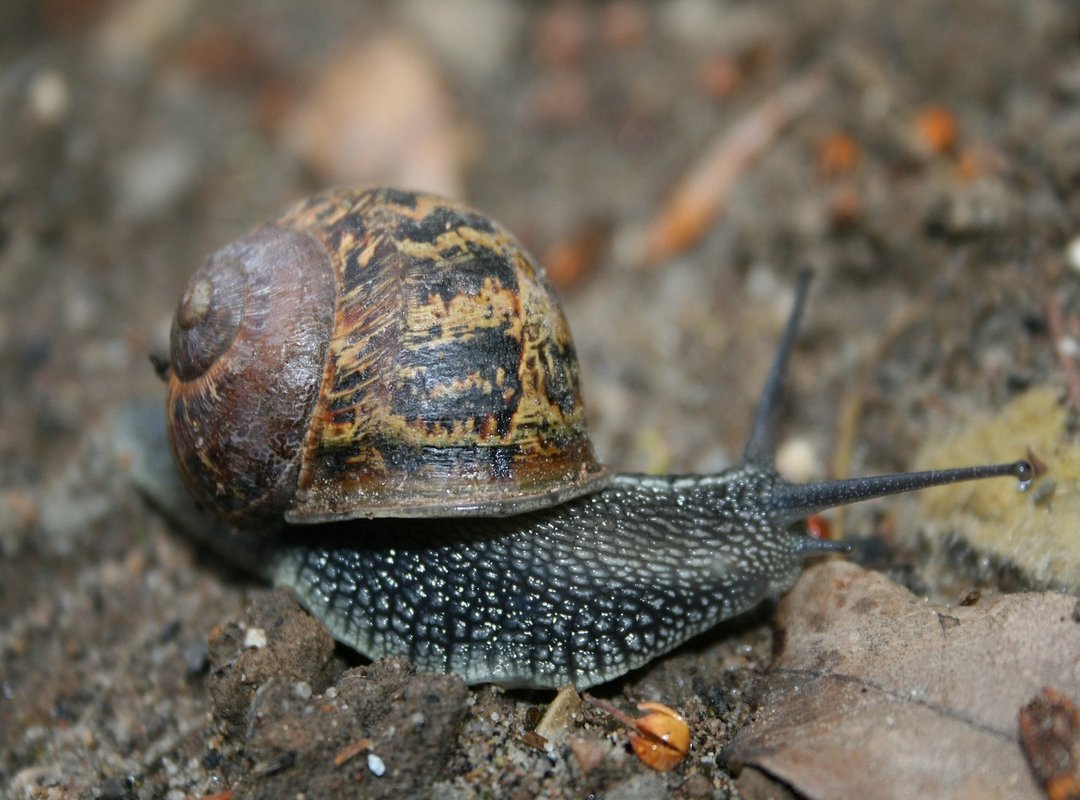 How to Sign Up and Get Started