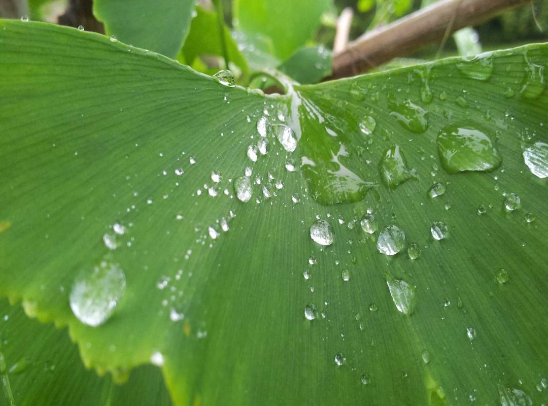 Practical Uses: When You Need to Convert Height to Centimeters