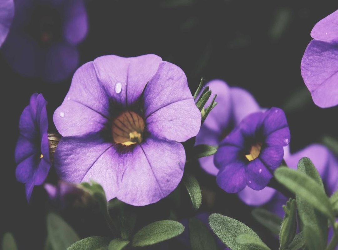 Adding Personality: Fun Details to Make Your Drawing Unique