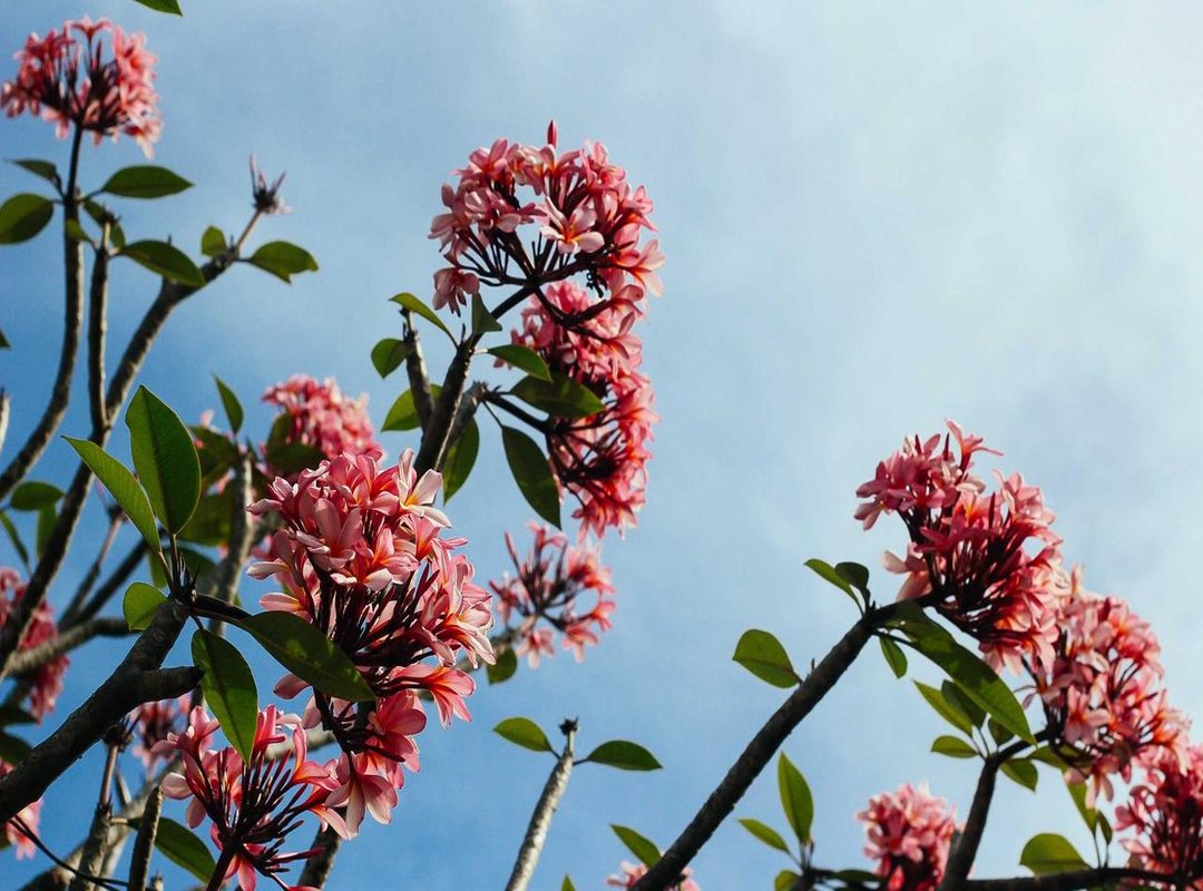 How to Implement a Hedging Strategy: Step-by-Step Guide