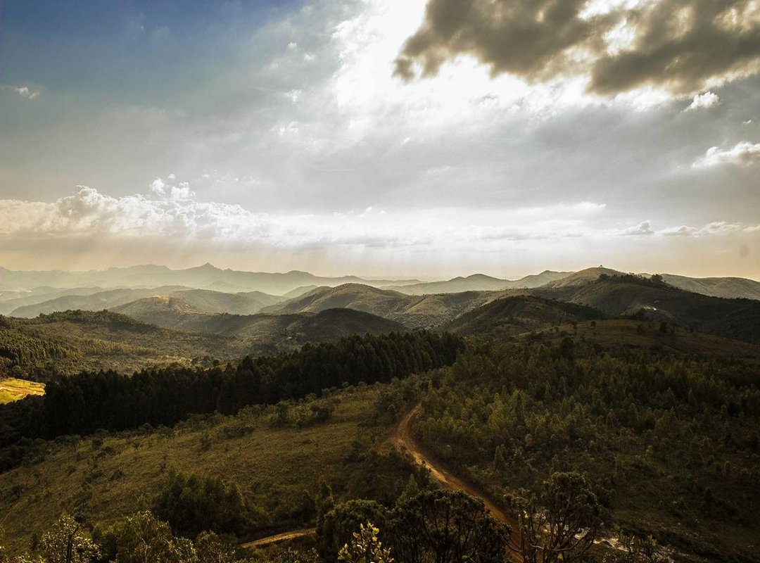 Beyond Privacy: The Rise of the Minimalist PFP Aesthetic