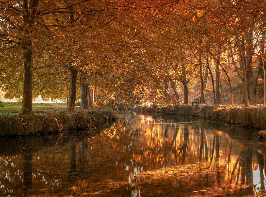 Top Picks for Clenbuterol at Cruz Verde