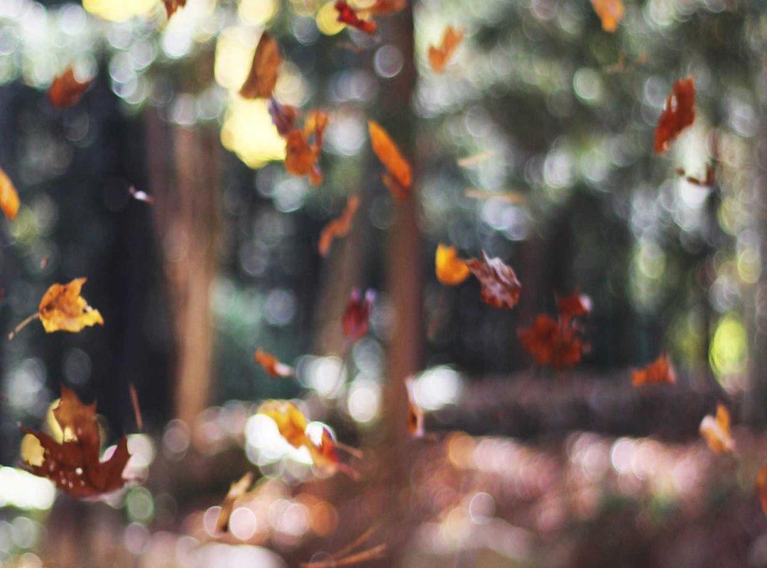 Evaluating Your Options: Derrumal 300 vs. The Alternatives