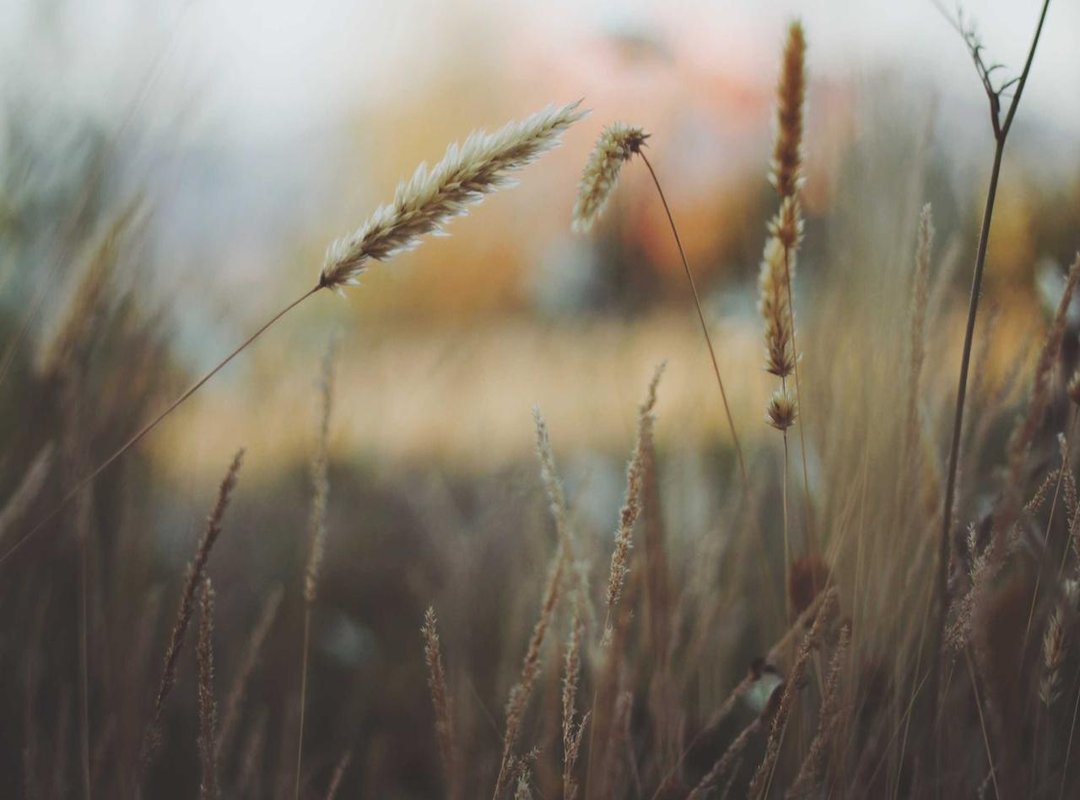 A Practical Guide: When and How to Use This Phrase Correctly