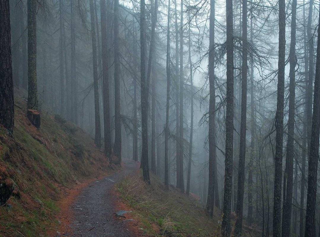 Minimalist vs. Action-Packed: Finding Your Wallpaper Style