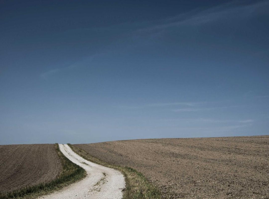 The Big Question: How Accurate Is the Chinese Gender Predictor?