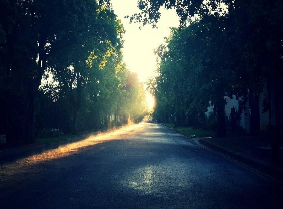 More Than Just Workouts: The Role of Nutrition and Recovery