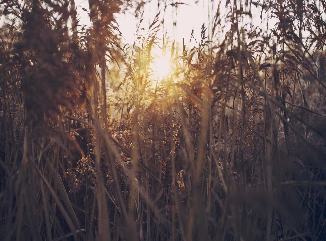 Answering Your Questions: Is It Safe and Legal?