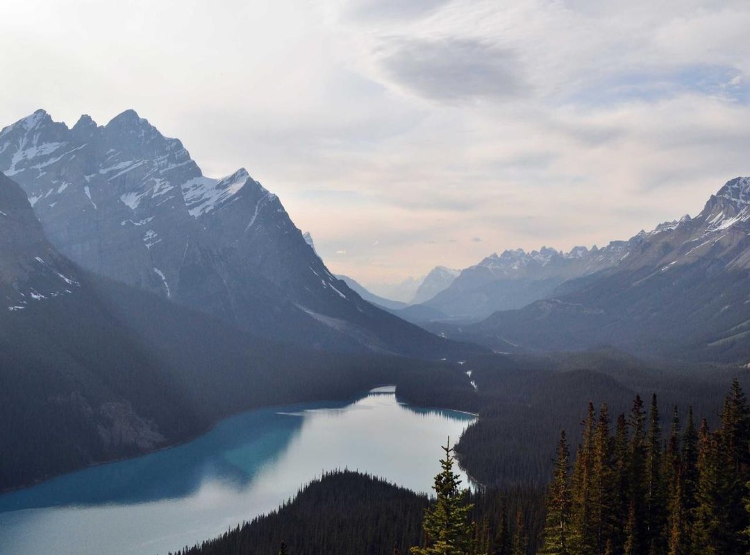 The Good and The Bad: An Unbiased List of Pros and Cons