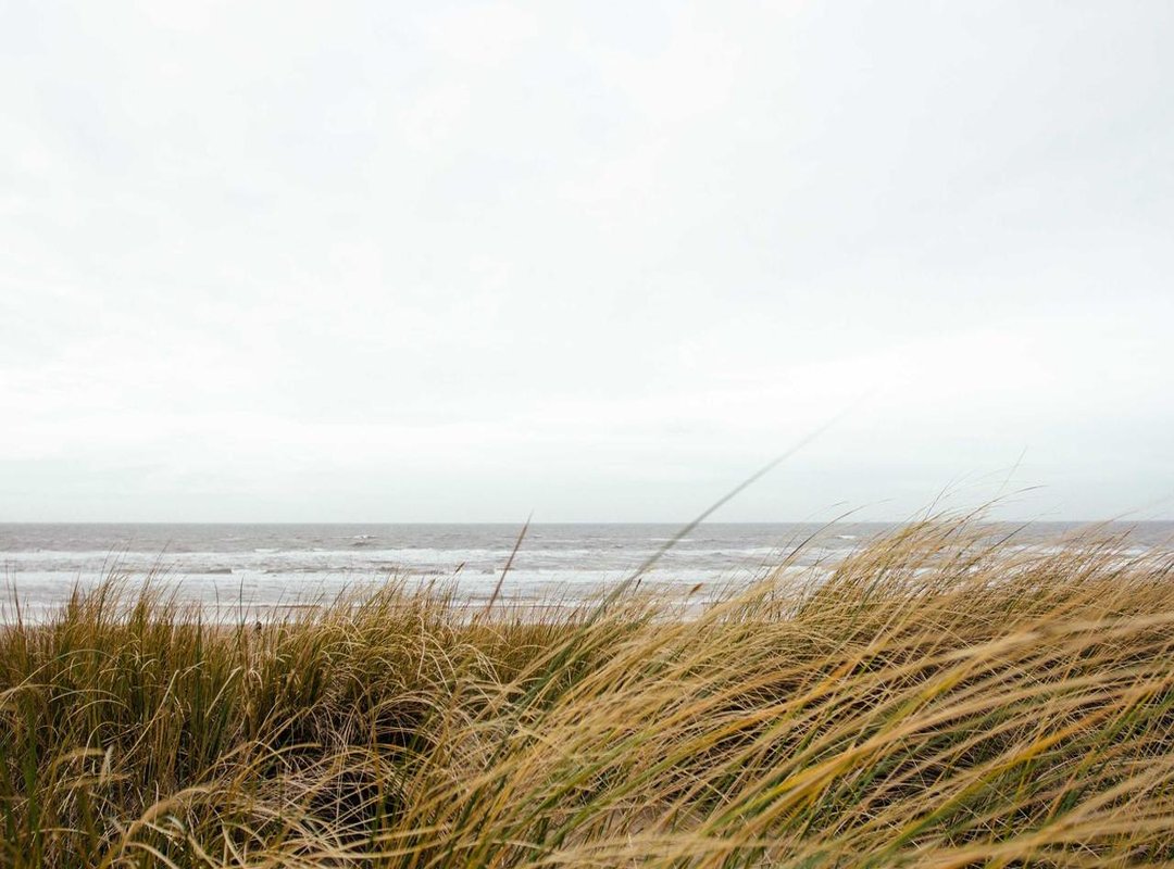 Preventive Measures: Avoiding Future Payment Issues on Vinted